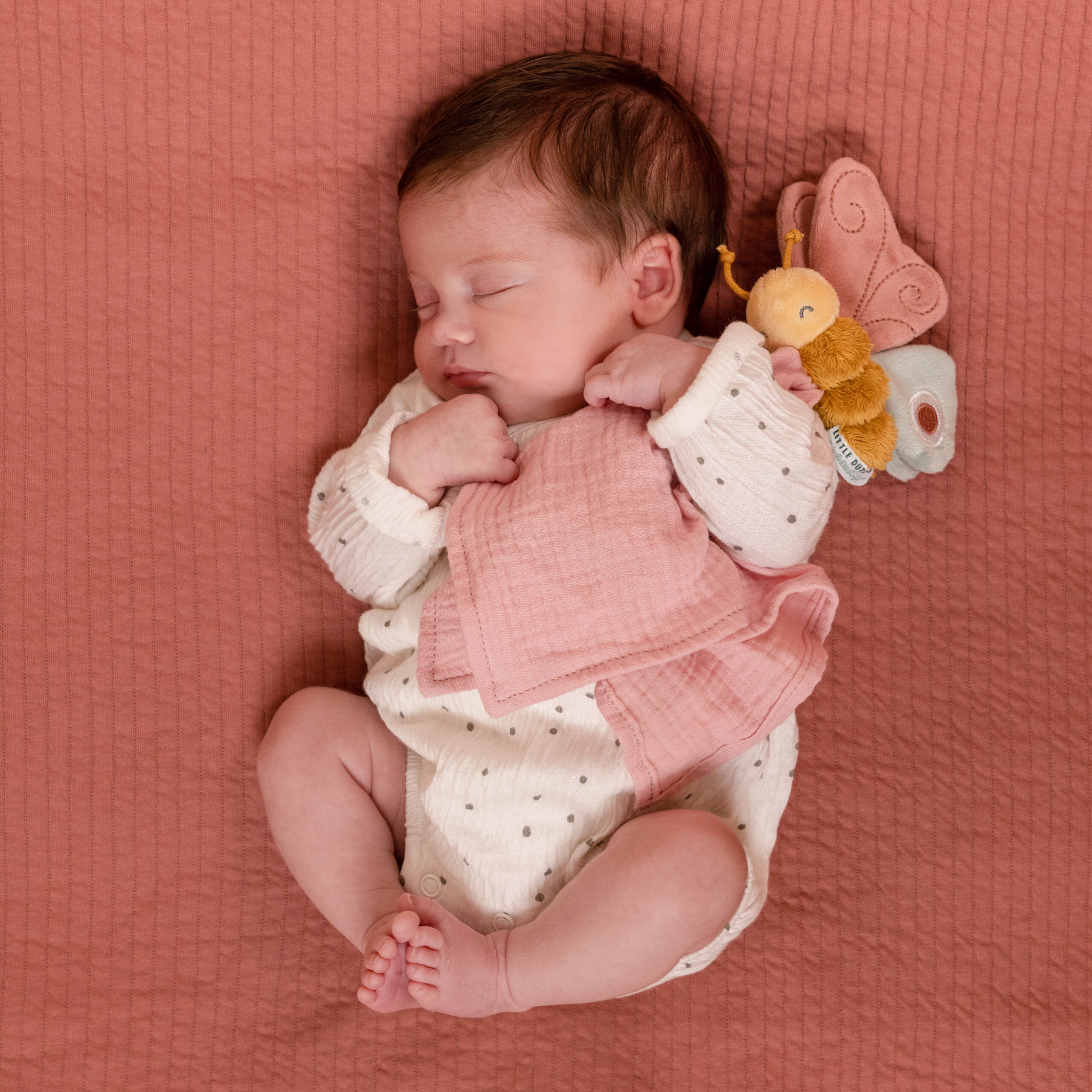 Flowers   Butterflies Gift Box